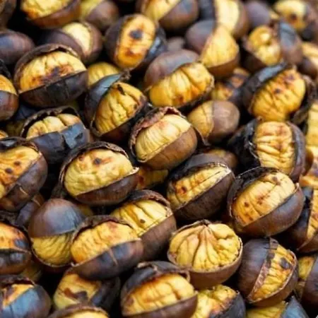 L'eremo مزرعة للإقامة Volpago del Montello